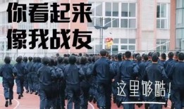 博达学院爆料校长事件视频,真相与争议交织